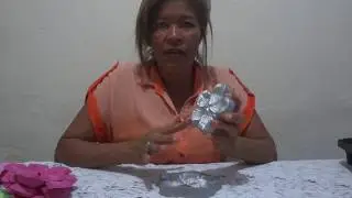 CONHECENDO MELHOR O SEU FRISADOR - PARTE 1