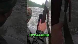 Тайга Тофаларии Опасные Реки. #тайга #рыбалка #сплав