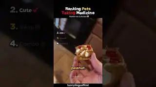 Ranking Pets Taking Medicine💊 