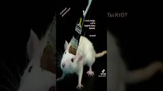 оПеРаЦиЯ вАкЦиНаЦиЯ 79