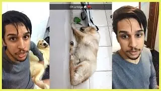 LIRA BRINCANDO COM SLINKY + ESTA DE VOLTA  -  Invento na Hora