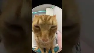 видео не моео