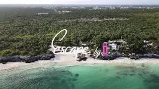 Above & Within Escape U beach day event in Tulum