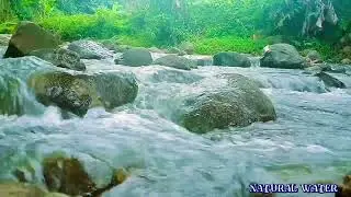 Forest River, Soothing Natural Water Sounds for Relaxation and Sound Sleep