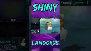 Shiny Gebue Trio- 3 of 3 #pokemon #liveshiny #shinypokemon #shinyhunter  #shinyhunting #shiny #3ds