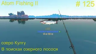 В поисках озерного лосося.  Озеро Кулгу. # 125. Прохождение Atom Fishing II