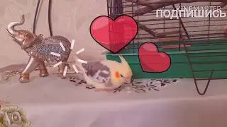 Чудень