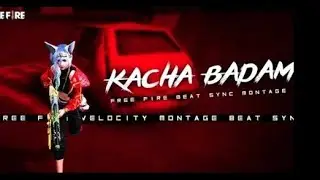 Kacha Badam | Kacha Badam l Beat Sync Montage | কাঁচা বাদাম