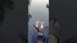 дача речка