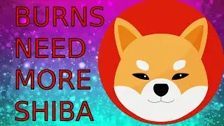 LET’S BURN SHIBA INU