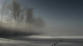 Трейлер канала