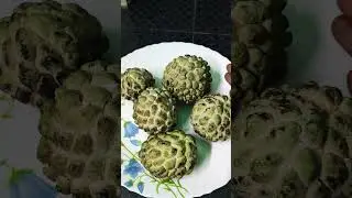 మన పెరటి సీతాఫలాలు #shorts #gardening #youtubeshorts