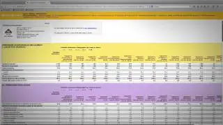 Indagine sulla Condizione occupazionale dei Laureati - Videoguida alla consultazione dei dati