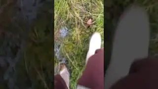 Эй, городская!