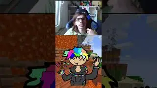 que pense tu de l'avenir de Minecraft en général aussi bien que sur youtube et en tant que jeux vidé