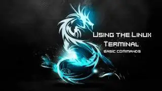 Linux Terminal: Basic Commands