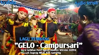 Gelo 