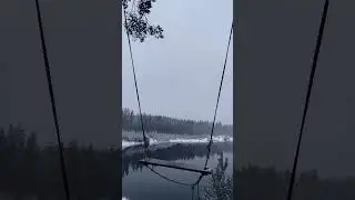 ❄️❄️❄️ Ленобласть  