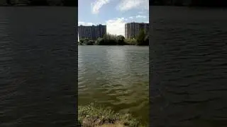 Давай там акула.