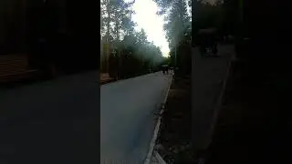 #парк