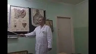 Видеолекция 
