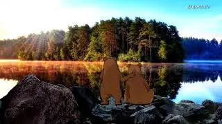 АНЕКДОТ:  ДВА МЕДВЕДЯ  (мульт анекдот)