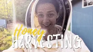 Our First HONEY Harvest