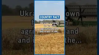 Ukraine is known for its reach agriculture land and is one of the ￼ world’s… 