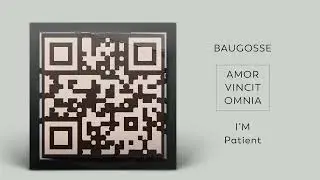 Baugosse - I'M Patient (Official Audio)