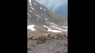 Дагестанские туры