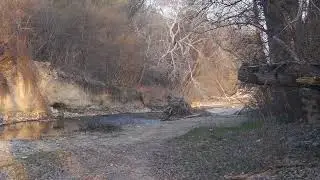 Утро на Альме.