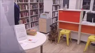 Куда пойти холодной зимой? В библиотеку!