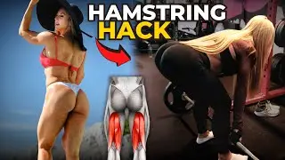 Top 3 Hamstring Exercises You Need to Try! Step-by-Step