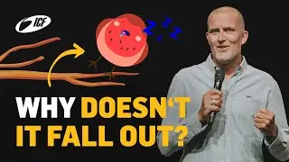 Why doesn't a bird fall out of a tree while sleeping? | Tobias Teichen | ICF Zurich