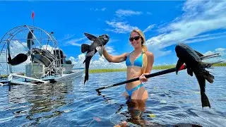 Wading in Alligator Infested Waters Gigging INVASIVE Fish!