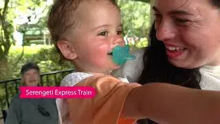 Família Cris Pelo Mundo: Adrenalina e Diversão no Busch Gardens Tampa Bay!