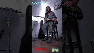 ВЕЛИКИЕ СКОРПЫ!!