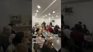 Подведение итогов | Накорми голодного | Рука помощи | Кормление бездомных