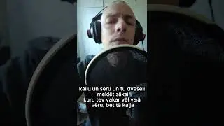 Bruģis - Kaija Vocal cover
