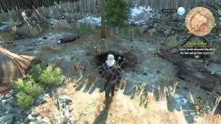The Witcher 3 Item Duplication Glitch