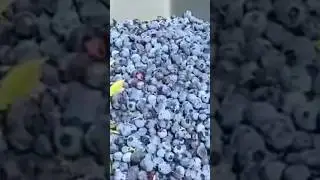 Watch full video here https://youtu.be/NNc_SsReELo?si=8xfiQUuBKV6Pnku6