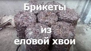 Как делать топливные брикеты из еловой хвои самостоятельно в домашних условиях #7