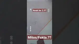 mitos/fakta..? #shorts  #short  #shortvideo