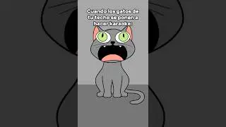 Los gatos por la noche 😹