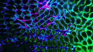 Fractal Reverie: Exploring the Enchanting World of Random Patterns with Ambient Harmony