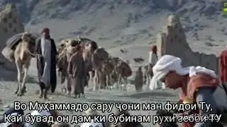 ВО МУХАММАДО САРУ ЧОНИ МАН ФИДОИ ТУ......
