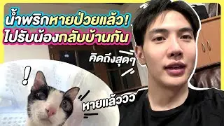 น้ำพริกหายป่วยแล้ว! ไปรับน้องกลับบ้านกัน | Zellfie