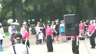 よさこい祭りin光が丘公園　パレード1（スマホカメラ）