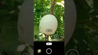 macro photography and mobile photography setting