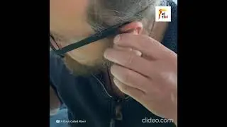 AYUDANDO A NACER UN  POLLITO